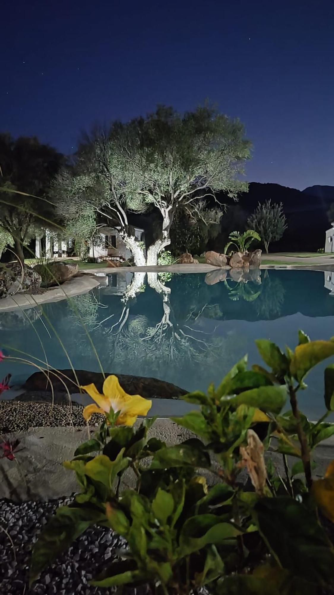 Tenuta Le Terre 1927 Guest House Сан Теодоро Екстериор снимка