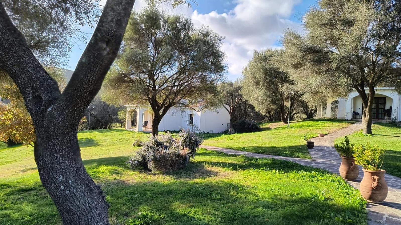 Tenuta Le Terre 1927 Guest House Сан Теодоро Екстериор снимка